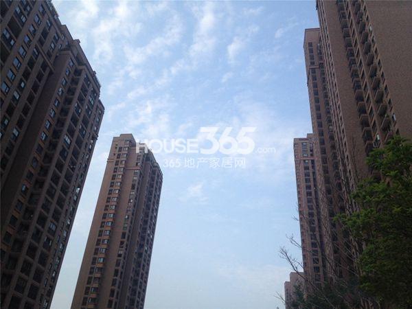 惠龙易通货主版下载