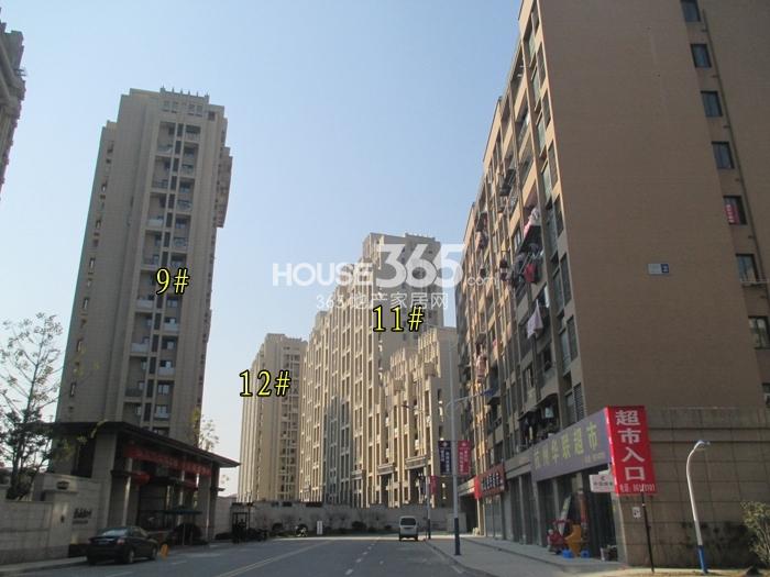 赞成乐山红叶项目9、11、12号楼实景图（2015.2）