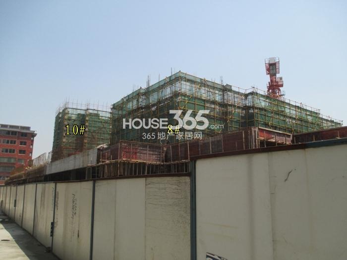 德信泊林春天8、10号楼施工进度 2015年4月摄