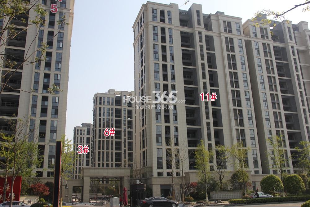 中国铁建青秀城3、6、11号楼施工进度实景图 2015年4月摄