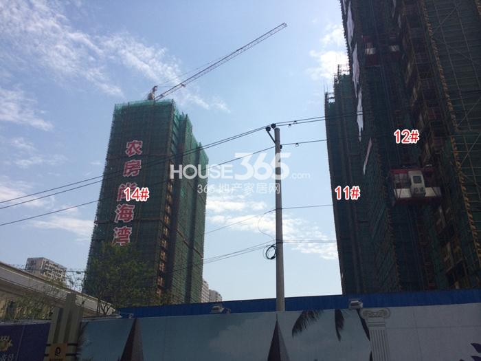 农房尚海湾12、11、14号楼实景图 2015年5月摄