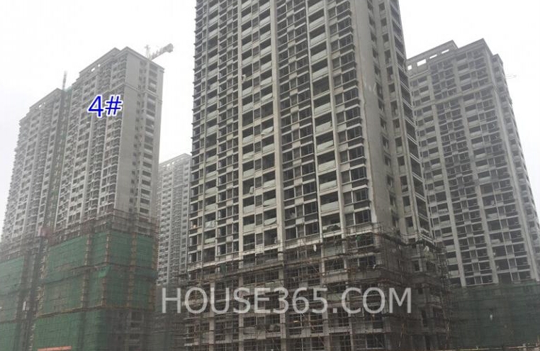 银亿东城十一街区的高层实景图（7.19）