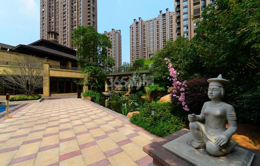东海橙对景观实景图