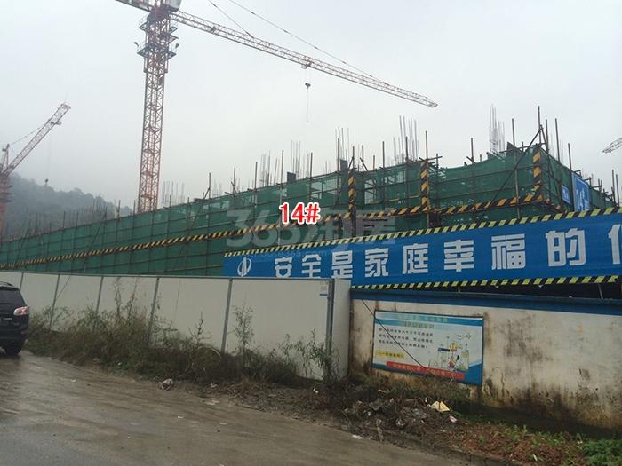 万科坤和玉泉项目14号楼施工进程图（2015.11）