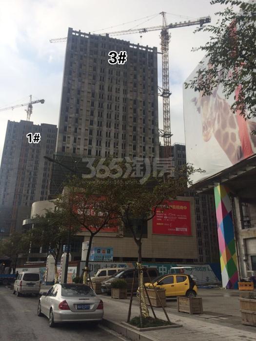 中豪七格最新动态