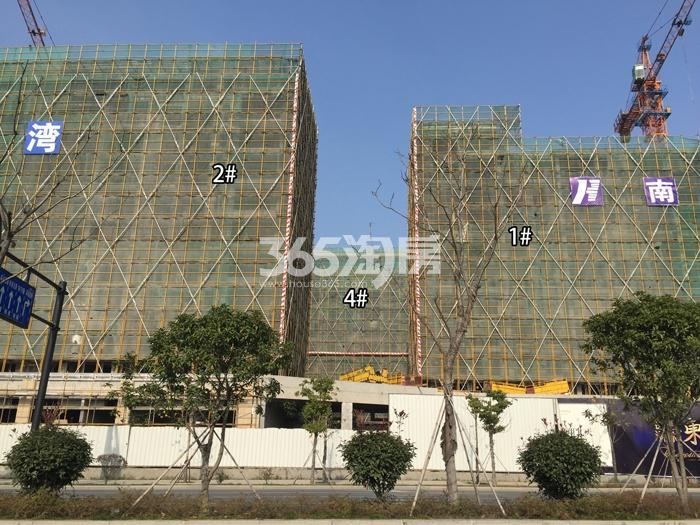 德信浙旅东宸1、2、4号楼施工进度实景图 2016年1月摄