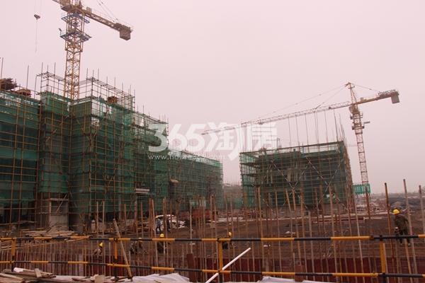伟星玲珑湾藏岛工程进度（2017.4摄）