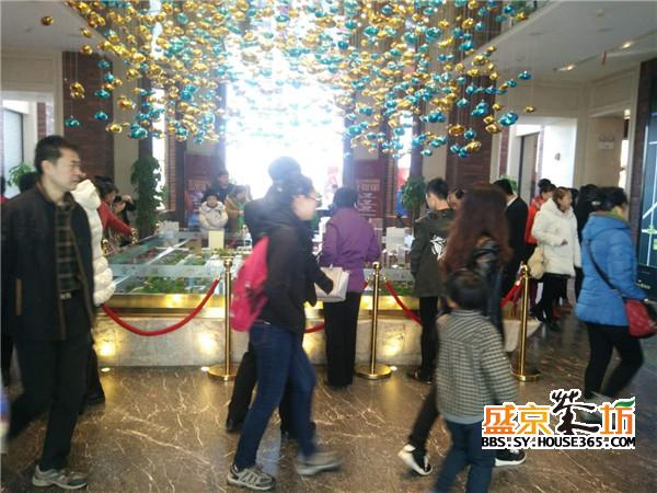金石小镇看房现场